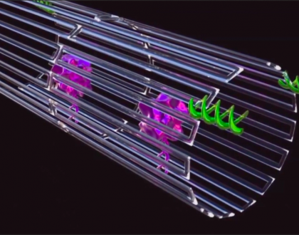 Cancer-fighting DNA nanobots