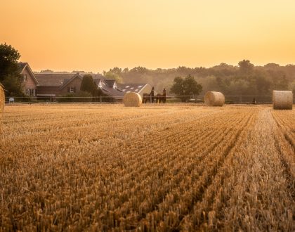 Principles of Agriculture