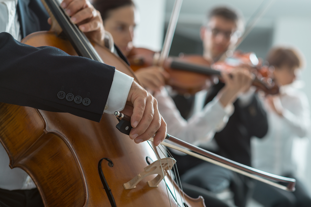 Orchestra performance. Orchestra performance