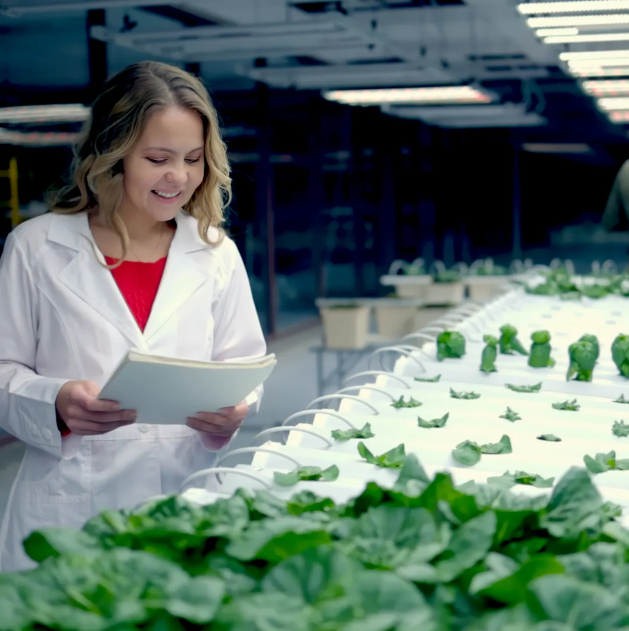 IST Hydroponics